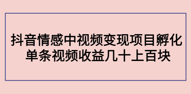 副业孵化营第5期：抖音情感中视频变现项目孵化 单条视频收益几十上百-久久资源库