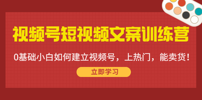视频号短视频文案训练营：0基础小白如何建立视频号，上热门，能卖货！-久久资源库