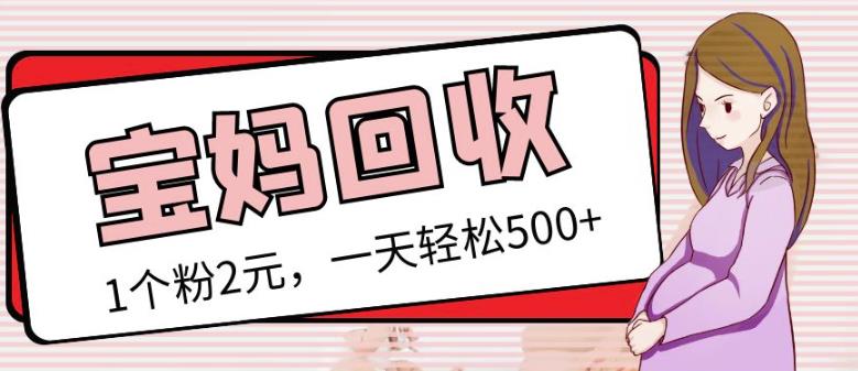 最新小红书母婴号宝妈粉回收项目，1个粉2元，一天轻松500+案例分享【粉丝包回收】-久久资源库