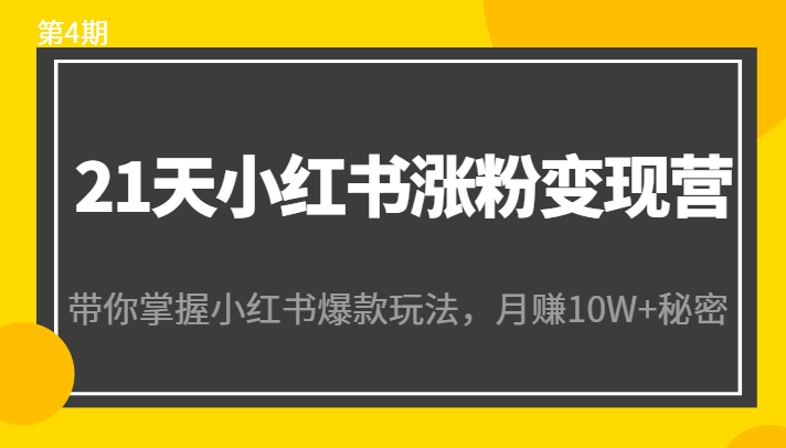 21天小红书涨粉变现营（第4期）：带你掌握小红书爆款玩法，月赚10W+秘密-久久资源库