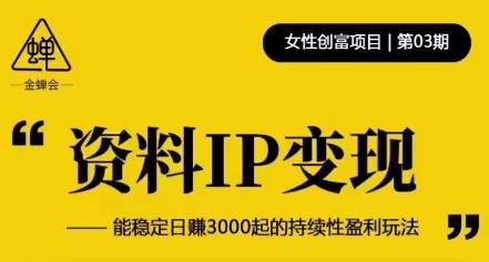 资料IP变现，能稳定日赚3000起的持续性盈利玩法-久久资源库