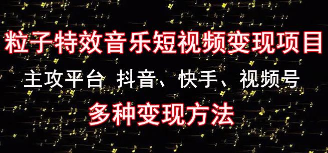 黄岛主《粒子特效音乐短视频变现项目》主攻平台抖音、快手、视频号多种变现方法-久久资源库