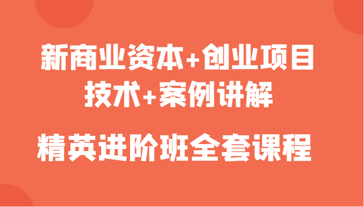 新商业资本+创业项目，技术+案例讲解，精英进阶班全套课程-久久资源库