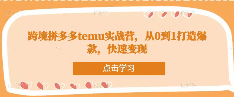 跨境拼多多temu实战营，从0到1打造爆款，快速变现-久久资源库