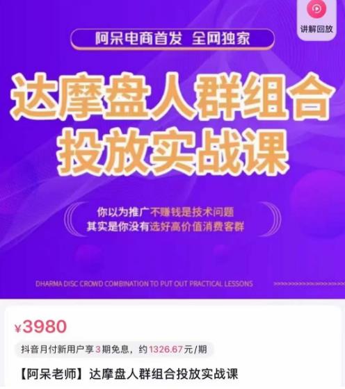 阿呆电商·达摩盘人群组合投放实战课，你以为推广不赚钱是技术问题，其实是你没有选好高价值消费客群-久久资源库