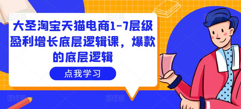大圣淘宝天猫电商1-7层级盈利增长底层逻辑课，爆款的底层逻辑-久久资源库