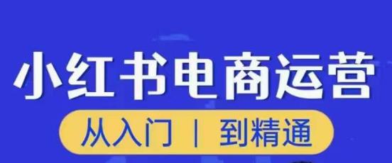 顽石小红书电商高阶运营课程，从入门到精通，玩法流程持续更新-久久资源库
