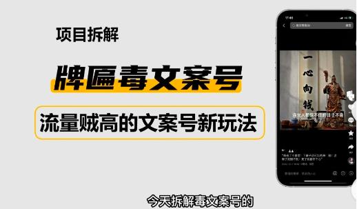 2023抖音快手毒文案新玩法，牌匾文案号，起号快易变现-久久资源库