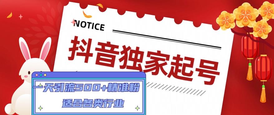 抖音独家起号，一天引流500+精准粉，适合各类行业（9节视频课）-久久资源库