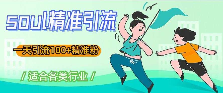 soul精准引流系列课程，一天引流100+精准粉，适合各类行业-久久资源库