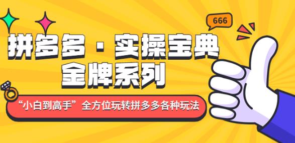 拼多多·实操宝典：金牌系列“小白到高手”带你全方位玩转拼多多各种玩法-久久资源库