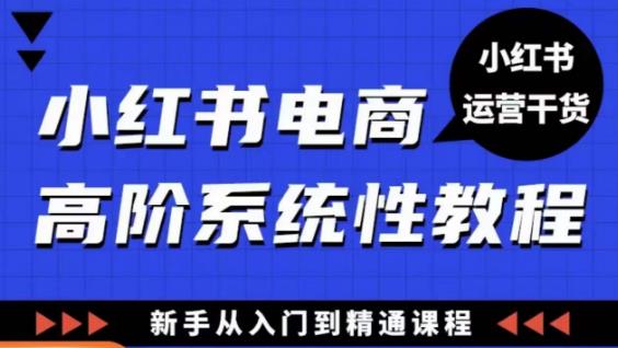 小红书电商高阶系统教程，新手从入门到精通系统课-久久资源库