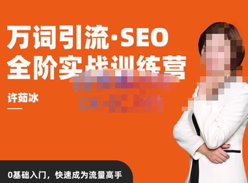 许茹冰·万词引流-SEO全阶实战训练营，0基础入门，快速成为流量高手-久久资源库