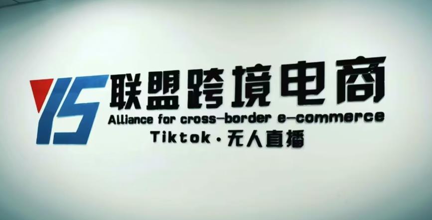 YS联盟·Tiktok无人直播，不出镜不剪辑不拍摄不发货无售后的跨境短视频躺赚玩法-久久资源库