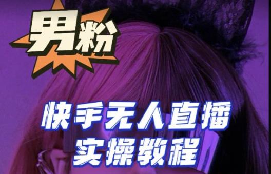【男粉落地项目】零基础玩转男粉快手无人直播月入3w+，2023快手无人直播实操教程-久久资源库