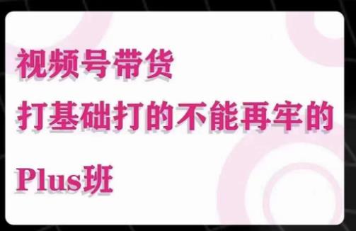 大播汇·视频号带货Puls班，视频号底层逻辑，起号自然流鱼塘等玩法-久久资源库