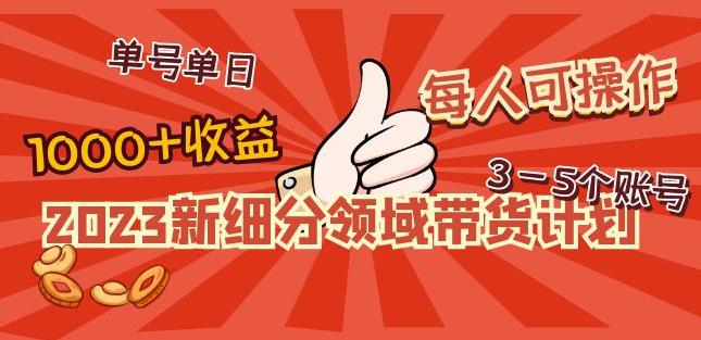 2023新细分领域带货计划：单号单日1000+收益不难，每人可操作3-5个账号-久久资源库
