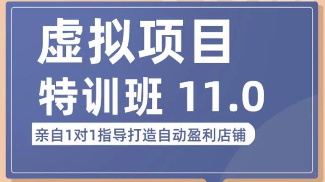 陆明明·虚拟项目特训班（10.0+11.0），0成本获取虚拟素材，0基础打造自动盈利店铺-久久资源库