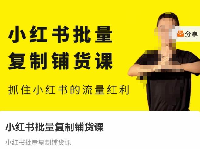 张宾·小红书批量复制铺货课，抓住小红书的流量红利 （更新2023年2月）-久久资源库