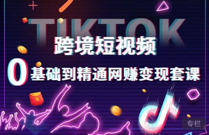 跨境短视频TIKTOK 0基础到精通网赚变现套课，跨境短视频独立站带货变现技巧-久久资源库