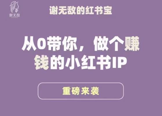 谢无敌·小红书运营大宝典，从0带你做个赚钱的小红书IP-久久资源库