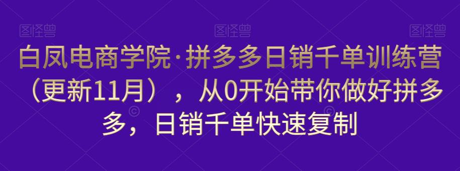 白凤电商学院·拼多多日销千单训练营，从0开始带你做好拼多多，日销千单快速复制（更新知2023年3月）-久久资源库