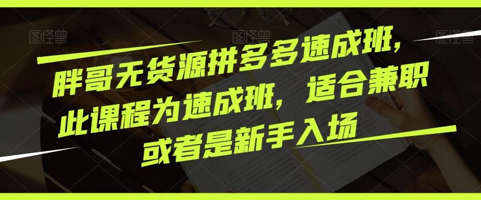 胖哥无货源拼多多速成班，此课程为速成班，适合兼职或者是新手入场-久久资源库