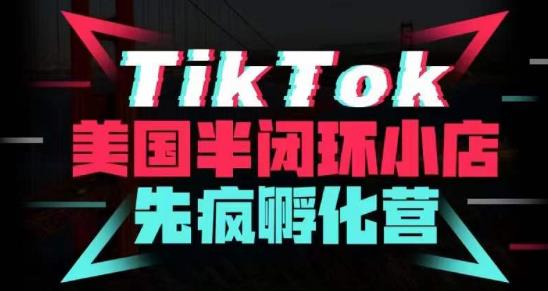 疯人院·TikTok美国半闭环小店孵化营，抢占TikTok美国蓝海市场，开店、运营、带货、投流全实操-久久资源库
