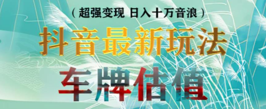 抖音最新无人直播变现直播车牌估值玩法项目，轻松日赚几百+【详细玩法教程】-久久资源库