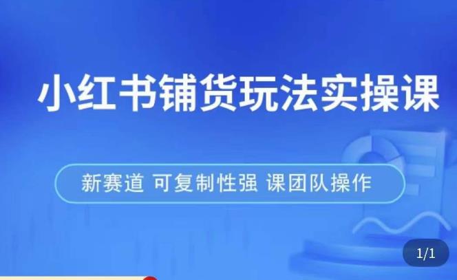小红书铺货玩法实操课，流量大，竞争小，非常好做，新赛道，可复制性强，可团队操作-久久资源库