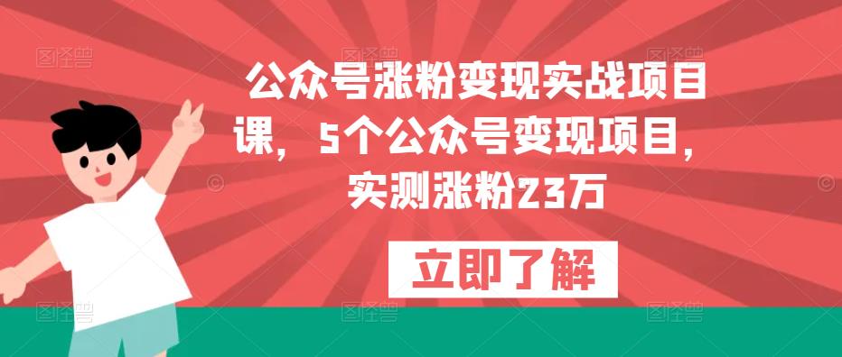 公众号涨粉变现实战项目课，5个公众号变现项目，实测涨粉23万-久久资源库