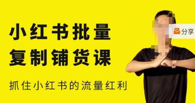 张宾·小红书批量复制铺货课，小红书0-1快速起号变现玩法，抓住小红书的流量红利（更新2023年3月）-久久资源库