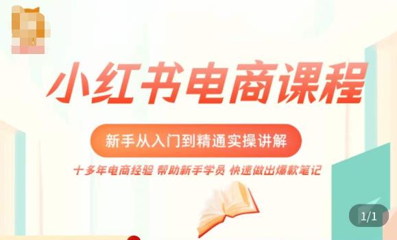小红书电商新手入门到精通实操课，从入门到精通做爆款笔记，开店运营-久久资源库