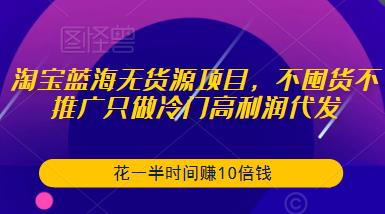 淘宝蓝海无货源项目，不囤货不推广只做冷门高利润代发，花一半时间赚10倍钱-久久资源库