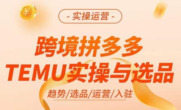 跨境拼多多TEMU实操与选品，​掌握平台运营方法技巧，选品避坑12条标准，爆款的底层思路等-久久资源库
