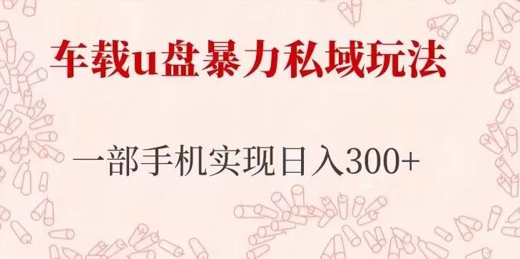 车载u盘暴力私域玩法，长期项目，仅需一部手机实现日入300+-久久资源库