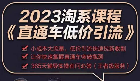 2023直通车低价引流玩法课程，小成本大流量，低价引流快速拉新收割，让你快速掌握直通车突破瓶颈-久久资源库