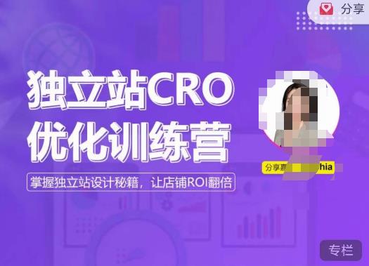 独立站CRO优化训练营，掌握独立站设计秘籍，打造高转化的独立站，让店铺ROI翻倍-久久资源库