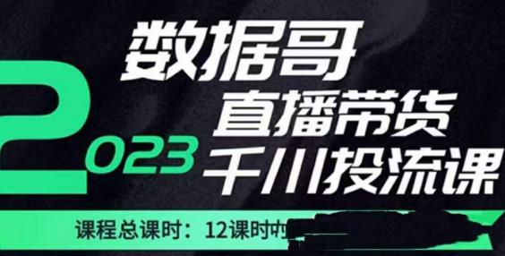 数据哥2023直播电商巨量千川付费投流实操课，快速掌握直播带货运营投放策略-久久资源库