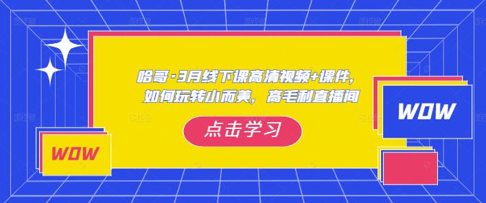 哈哥·3月线下实操课高清视频+课件，如何玩转小而美，高毛利直播间-久久资源库