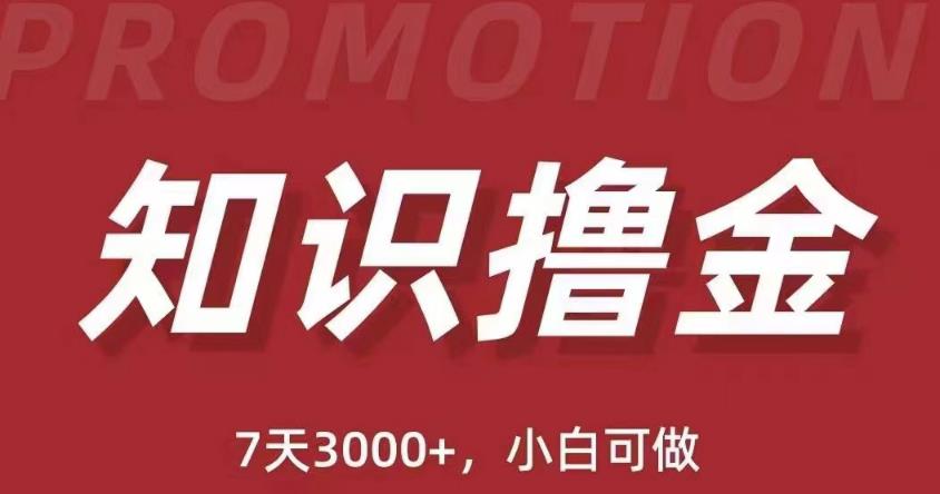 抖音知识撸金项目：简单粗暴日入1000+执行力强当天见收益(教程+资料)-久久资源库