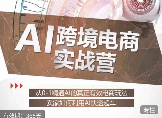 白龙老师·AI跨境电商实战营：从0-1精通Al的真正有效电商玩法，卖家如何利用Al快速超车-久久资源库