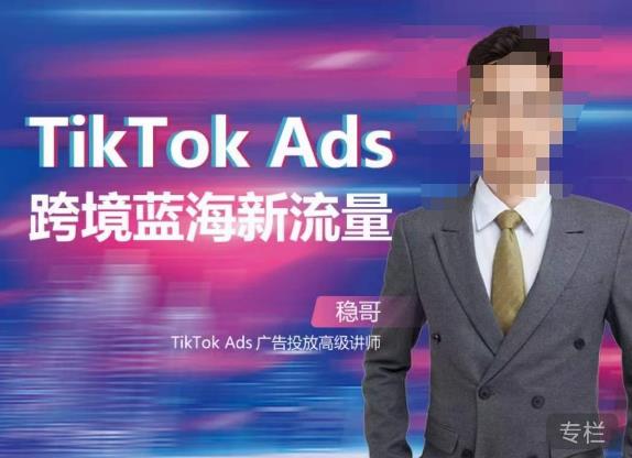 稳哥·如何投出高ROI的TikTok广告，开拓独立站卖家流量新蓝海-久久资源库