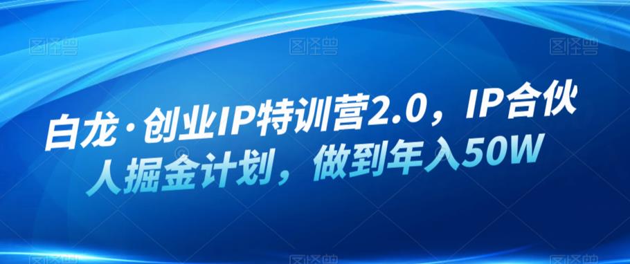 白龙·创业IP特训营2.0，IP合伙人掘金计划，做到年入50W-久久资源库
