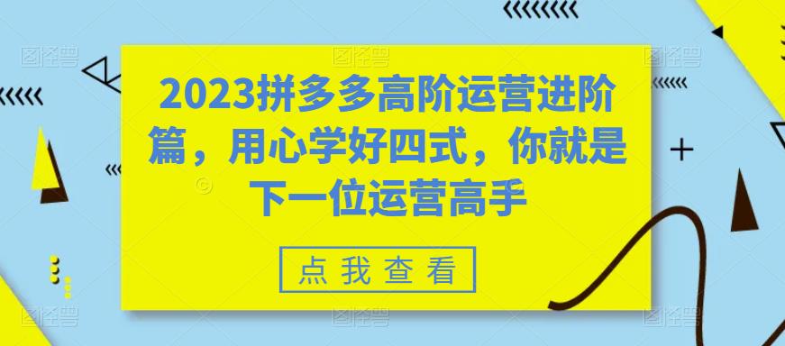 2023拼多多高阶运营进阶篇，用心学好四式，你就是下一位运营高手-久久资源库