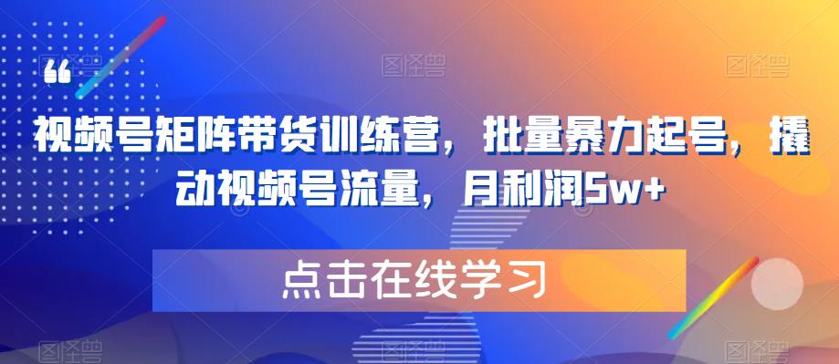 视频号矩阵带货训练营，批量暴力起号，撬动视频号流量，月利润5w+-久久资源库