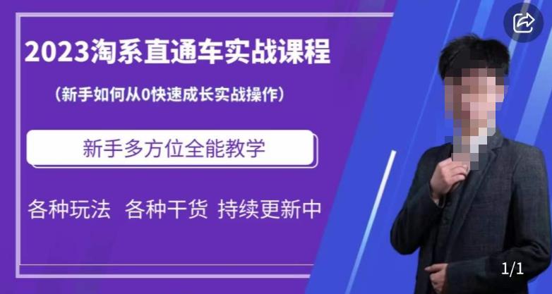 2023淘系直通车保姆式运营讲解，新手如何从0快速成长实战操作，新手多方位全能教学-久久资源库