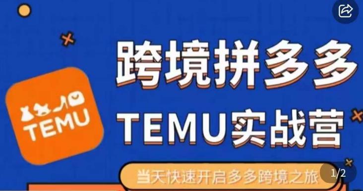 大鹏出海·拼多多跨境temu运营指导，开店注册+选品+核价上架，日出千单实战课-久久资源库
