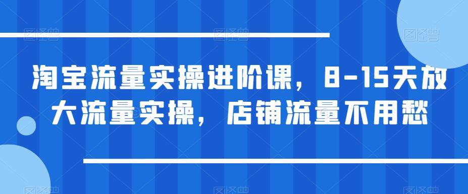 淘宝流量实操进阶课，8-15天放大流量实操，店铺流量不用愁-久久资源库
