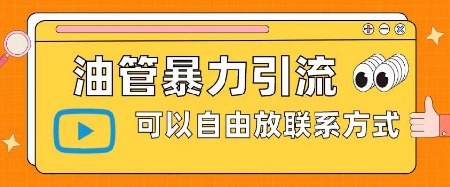 油管暴力引流，可以自由放联系方式【揭秘】-久久资源库